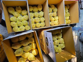 장양농원6606님의 9월 농사계획 공유하기 · 참여글 작성글 사진