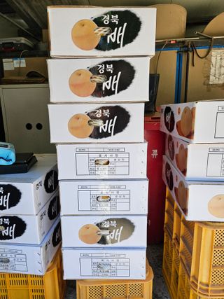 장양농원6606님의 9월 농사계획 공유하기 · 참여글 작성글 사진