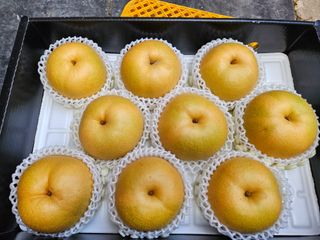 장양농원6606님의 9월 농사계획 공유하기 · 참여글 작성글 사진