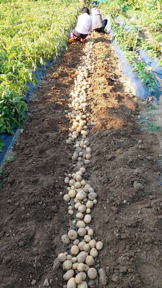 김옥곤님의 팜모닝 · 출석 작성글 사진