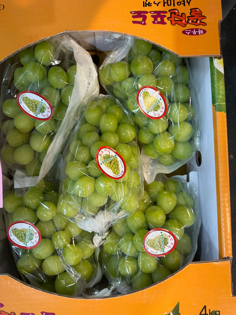 프레셔스님의 장터 판매 상품 [고당도 샤인머스켓 ] 첨부 사진