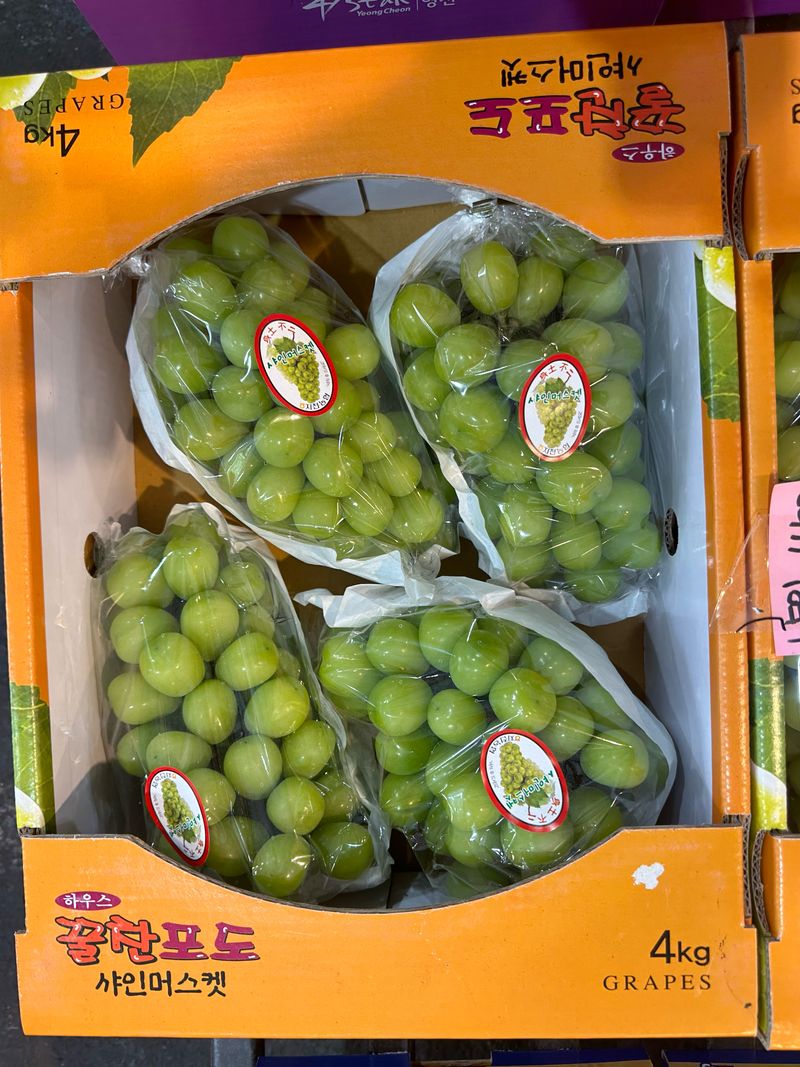 프레셔스님의 장터 판매 상품 [고당도 샤인머스켓 ] 첨부 사진