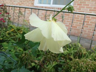 금동이네님의 자유주제 · 자유게시판 작성글 사진