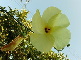 금동이네님의 자유주제 · 자유게시판 작성글 사진
