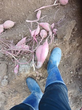 전국하님의 자유주제 · 자유게시판 작성글 사진