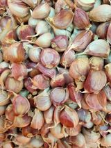 팜모닝 자유주제·사진전 게시글 이미지