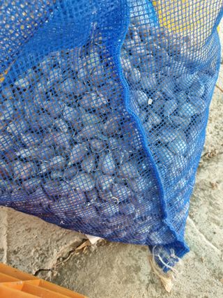 서순희님의 자유주제 · 사진전 작성글 사진