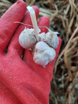 서순희님의 자유주제 · 사진전 작성글 사진