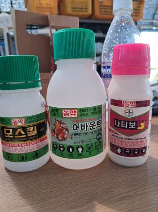 미스농부님의 자유주제 · 자유게시판 작성글 사진