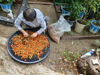 (힐링따오기쉼터)님의 기타작물 · 영농일지 작성글 사진