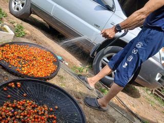 (힐링따오기쉼터)님의 기타작물 · 영농일지 작성글 사진