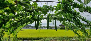 희망농부58님의 자유주제 · 자유게시판 작성글 사진