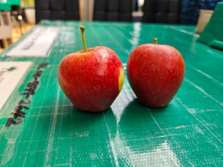 일심묘목농원님의 자유주제 · 자유게시판 작성글 사진