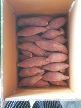 팜모닝 자유주제·자유게시판 게시글 이미지