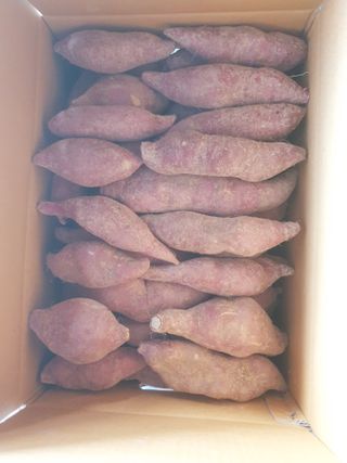 묵동박ㅈ출님의 자유주제 · 자유게시판 작성글 사진