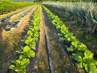 능행님의 자유주제 · 사진전 작성글 사진