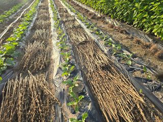 능행님의 자유주제 · 사진전 작성글 사진