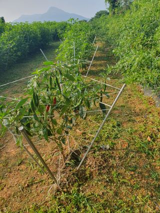 정봉원님의 자유주제 · 자유게시판 작성글 사진