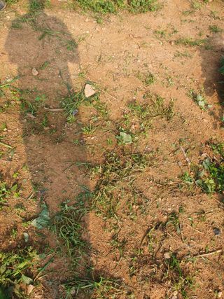 정봉원님의 자유주제 · 자유게시판 작성글 사진