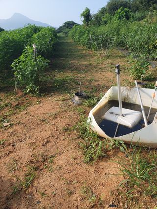 정봉원님의 자유주제 · 자유게시판 작성글 사진