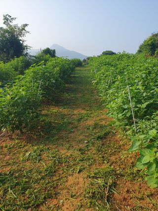 정봉원님의 자유주제 · 자유게시판 작성글 사진