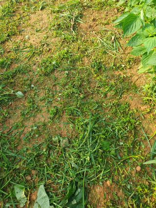 정봉원님의 자유주제 · 자유게시판 작성글 사진