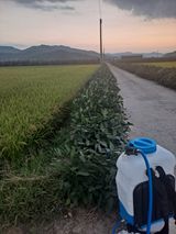 팜모닝 콩·영농일지 게시글 이미지