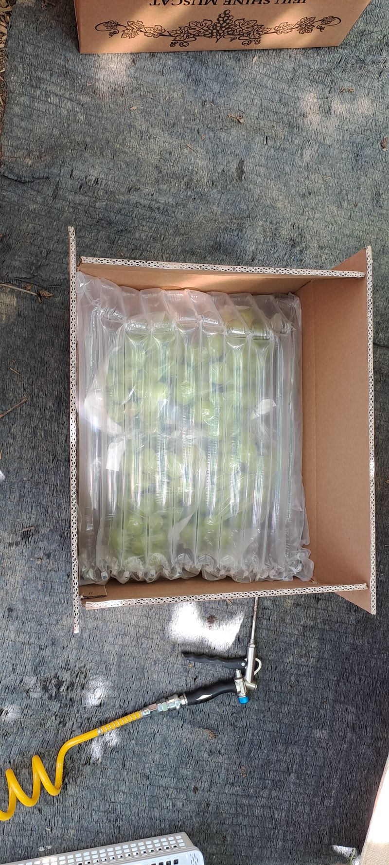 가끔 천재님의 장터 판매 상품 [샤인머스켓 선물용 3kg 택배비포함] 첨부 사진