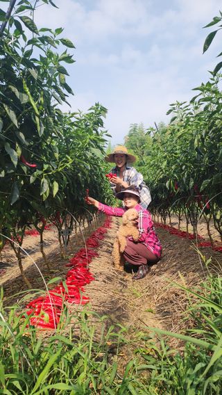 이종열님의 자유주제 · 자유게시판 작성글 사진