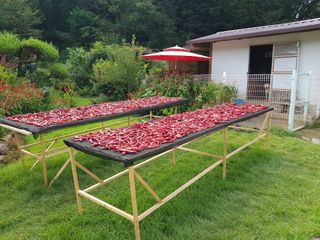 이종열님의 자유주제 · 자유게시판 작성글 사진