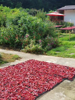 이종열님의 자유주제 · 자유게시판 작성글 사진