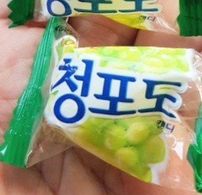 오재원님의 포도 · 영농일지 작성글 사진