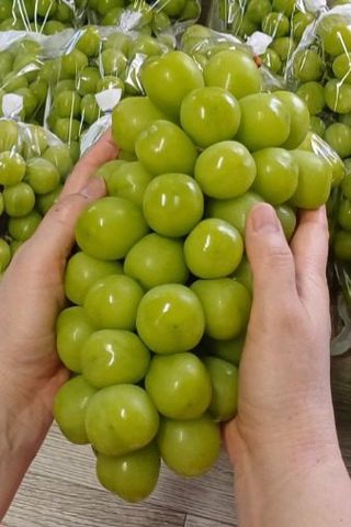 못내뜰애농원님의 자유주제 · 자유게시판 작성글 사진