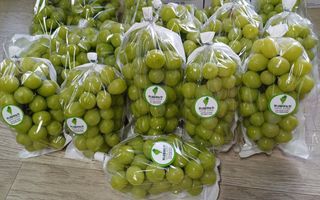 못내뜰애농원님의 자유주제 · 자유게시판 작성글 사진