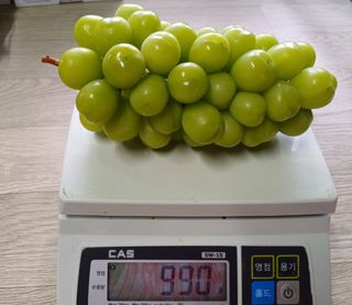 못내뜰애농원님의 자유주제 · 자유게시판 작성글 사진