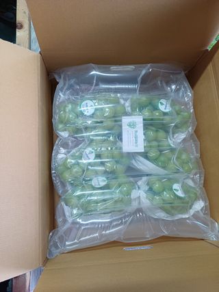 못내뜰애농원님의 자유주제 · 자유게시판 작성글 사진