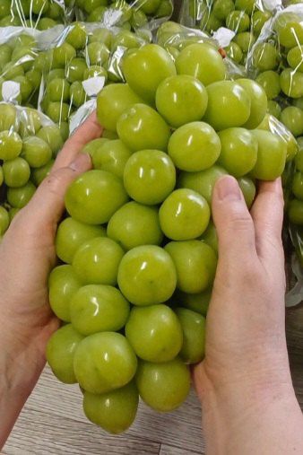 장터 상품 [샤인머스켓 2-4수선물용 2kg] 썸네일