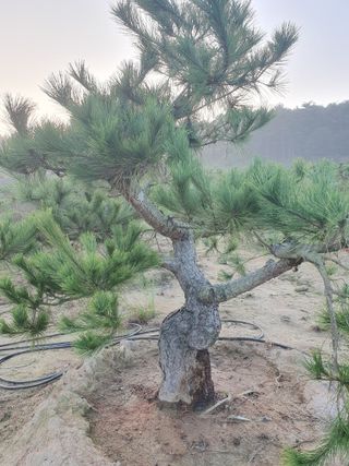 알 수 없음님의 자유주제 · 자유게시판 작성글 사진