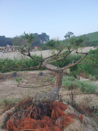알 수 없음님의 자유주제 · 자유게시판 작성글 사진