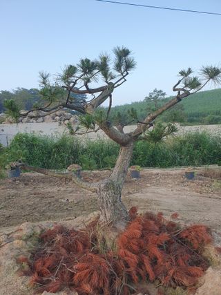 알 수 없음님의 자유주제 · 자유게시판 작성글 사진