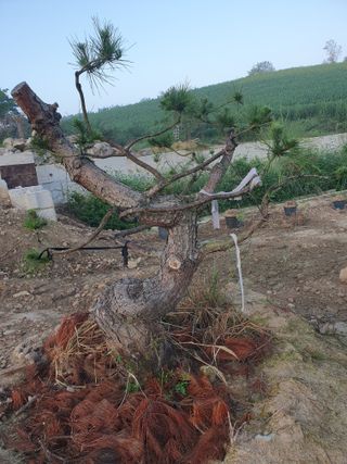 알 수 없음님의 자유주제 · 자유게시판 작성글 사진
