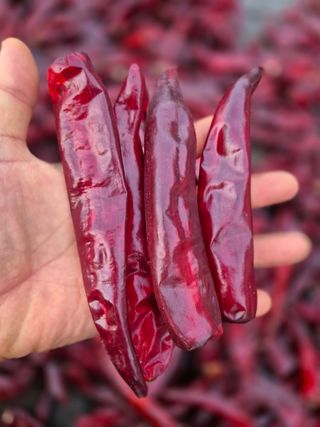 박무순님의 작성글 사진