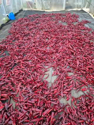 박무순님의 작성글 사진