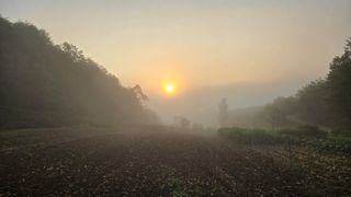 영월산지기148님의 배추 · 영농일지 작성글 사진