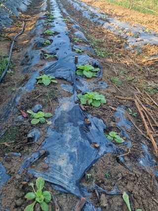 유일기님의 자유주제 · 자유게시판 작성글 사진