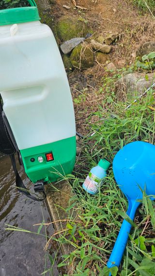 임상근님의 콩 · 영농일지 작성글 사진