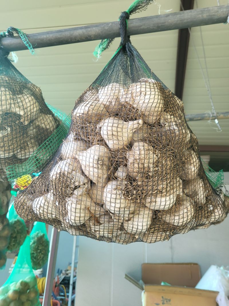 장터 상품 [충북제천 6쪽 마늘한접(100개)매진] 썸네일