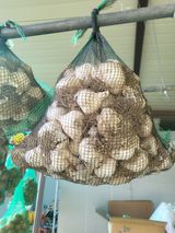 팜모닝 · 게시글 이미지