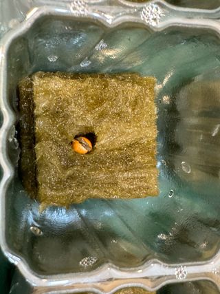 김태협님의 기타작물 · 영농일지 작성글 사진