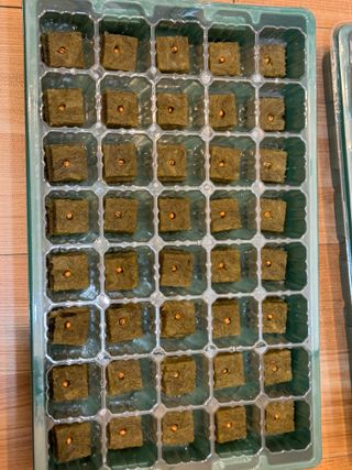 김태협님의 기타작물 · 영농일지 작성글 사진